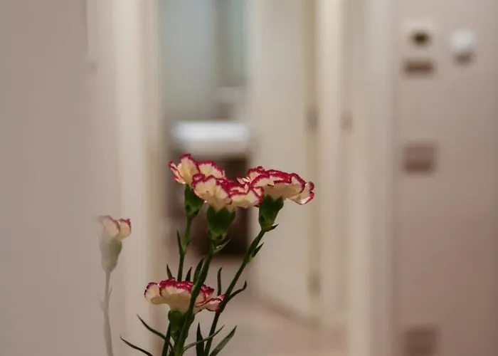 Relax Luxury Rent بيت ضيافة مودينا